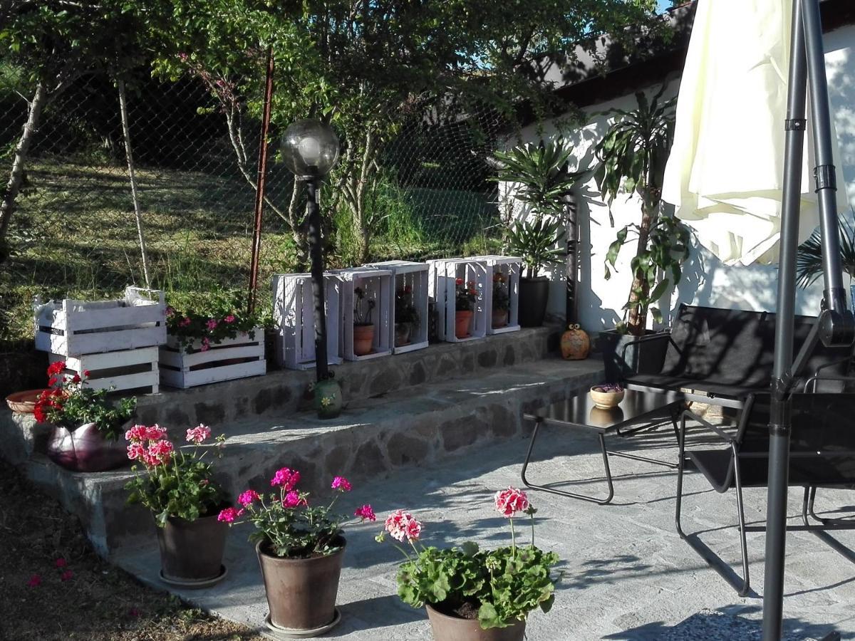 La Casa Nel Sole Apartment Alessandria Exterior photo